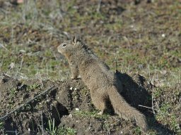 California2007-2008-010